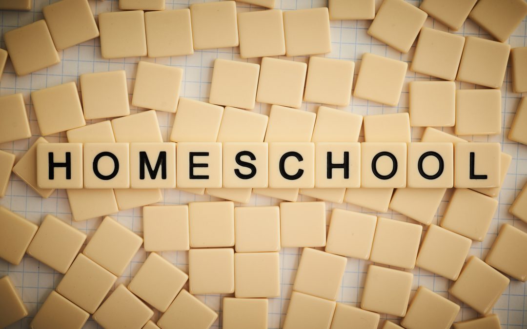 Why More Parents Are Choosing Home Schooling and How Private Tutoring Can Support Their Child’s Learning and Well‑Being